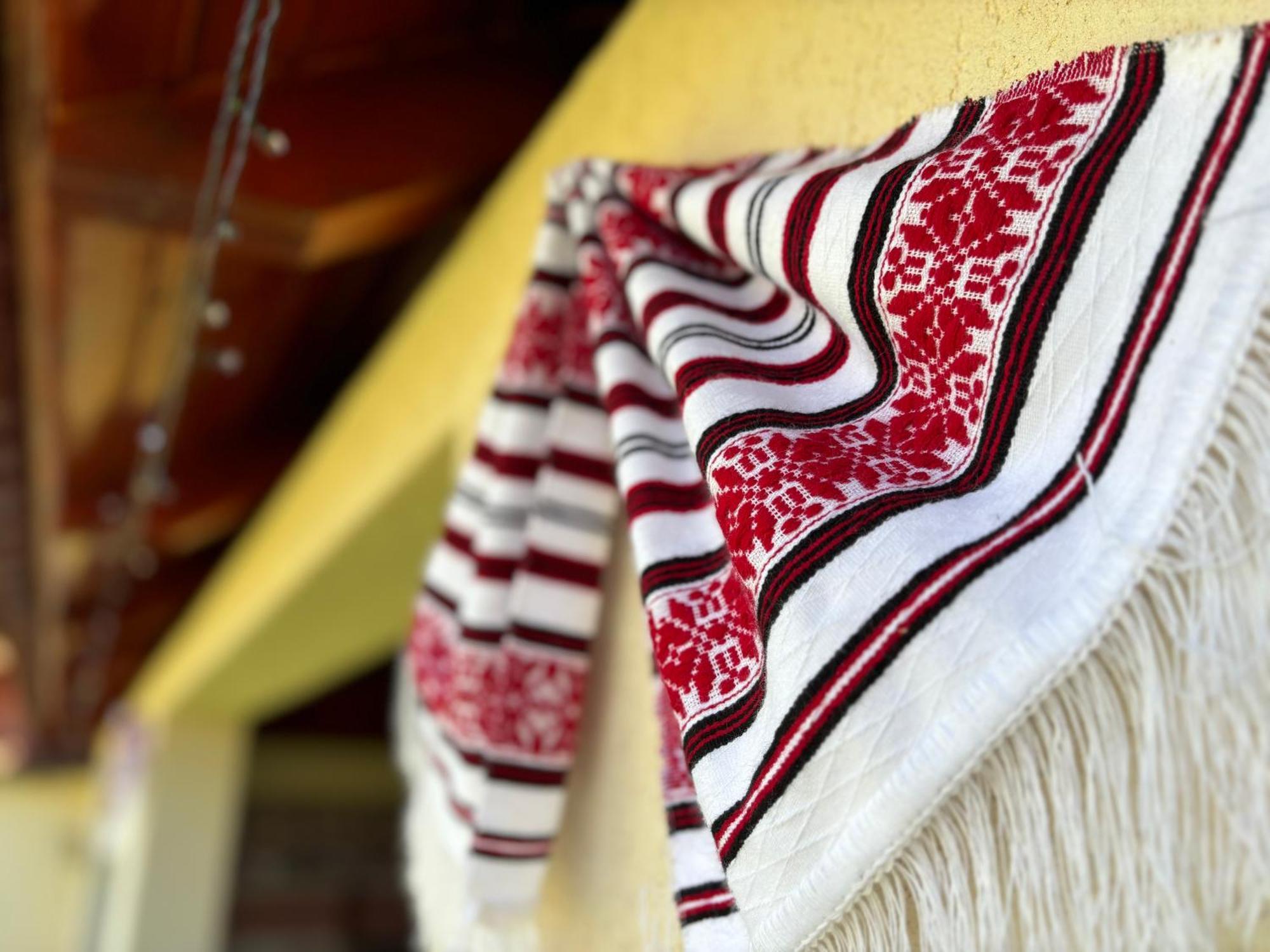 Casa Otilia Ξενοδοχείο Chiscau Εξωτερικό φωτογραφία