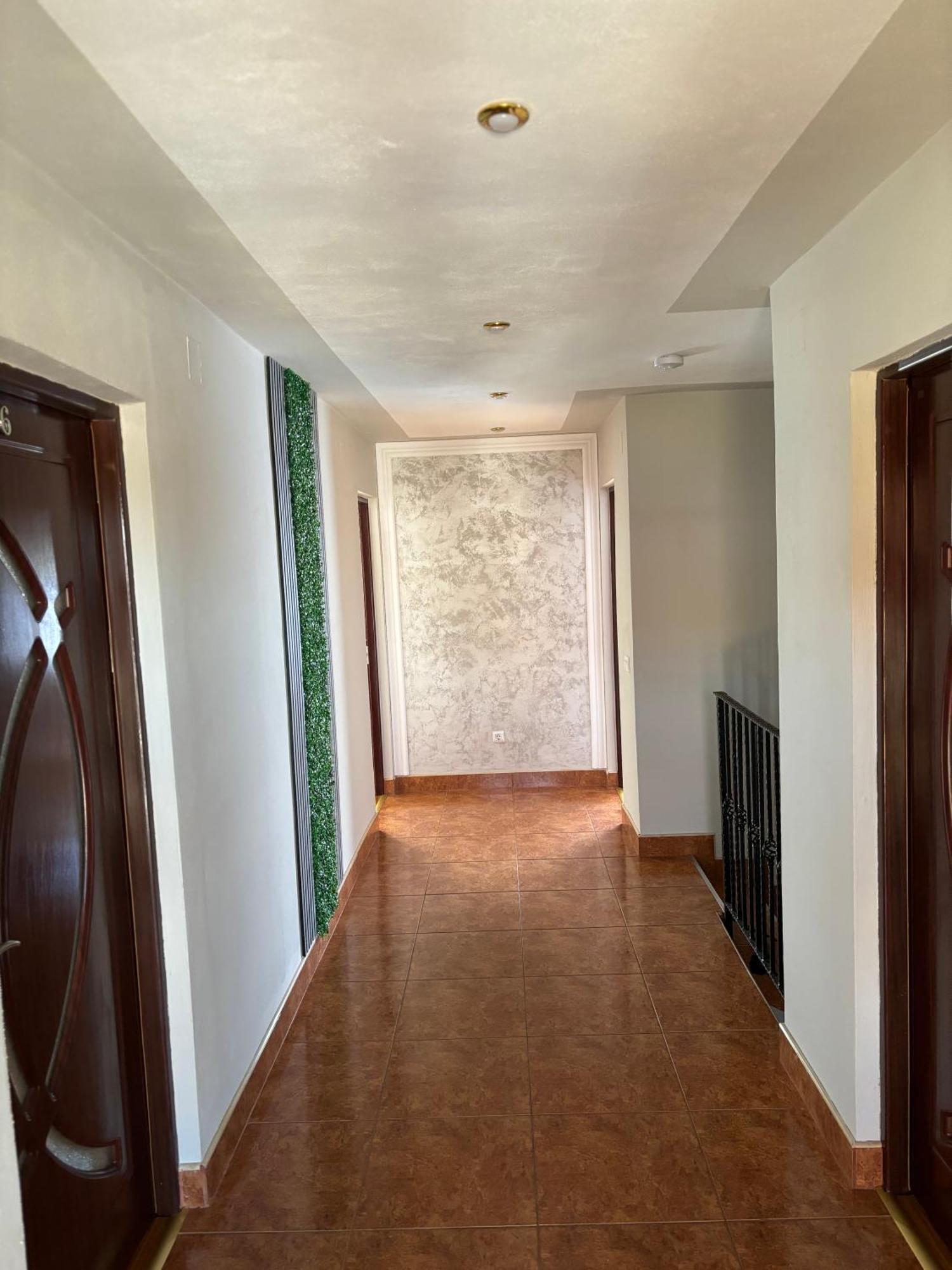 Casa Otilia Ξενοδοχείο Chiscau Εξωτερικό φωτογραφία